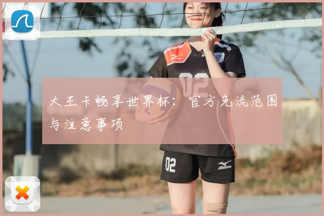 大王卡畅享世界杯：官方免流范围与注意事项