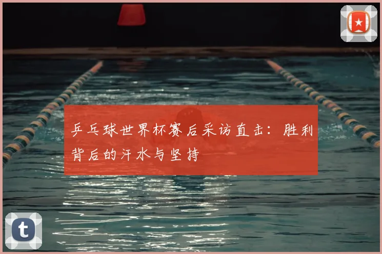 乒乓球世界杯赛后采访直击：胜利背后的汗水与坚持