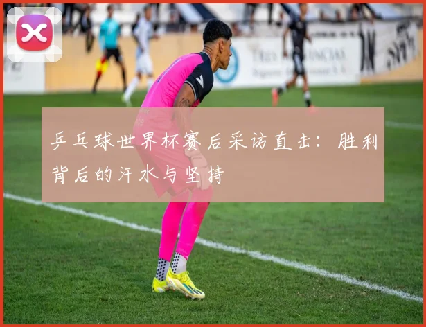 乒乓球世界杯赛后采访直击：胜利背后的汗水与坚持
